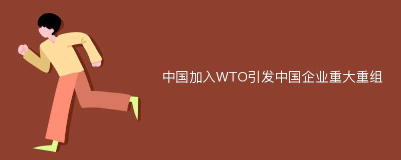 中国加入WTO引发中国企业重大重组