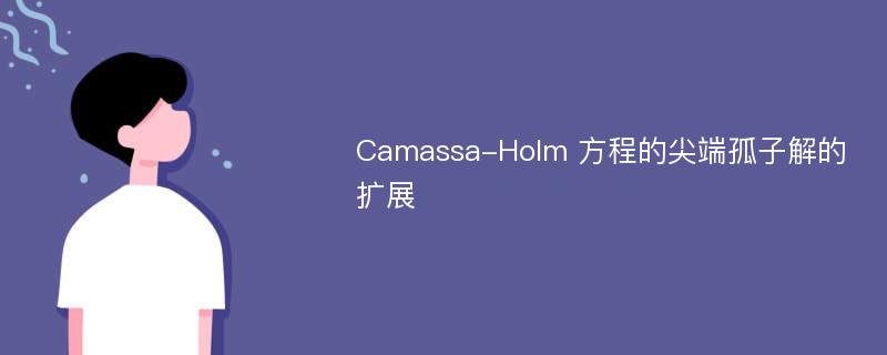 Camassa-Holm 方程的尖端孤子解的扩展