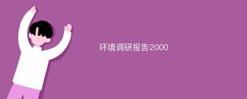 环境调研报告2000