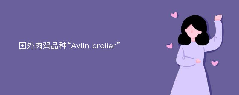 国外肉鸡品种“Aviin broiler”